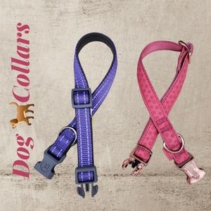 💜💟 Dog 🐕 Collars